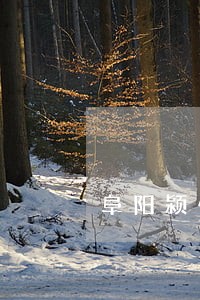 阜阳颍州区专业债务律师 阜阳颍州区专业债务律师