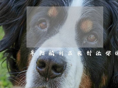 阜阳颍州区农村法律援助 阜阳颍州区农村法律援助