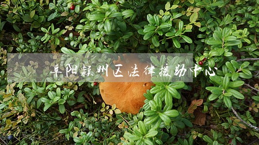 阜阳颍州区法律援助中心