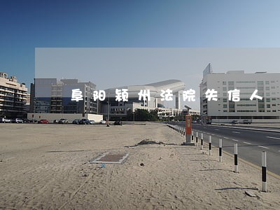 阜阳颍州法院失信人 阜阳颍州法院失信人
