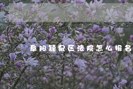 阜阳颍泉区法院怎么报名 阜阳颍泉区法院怎么报名