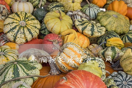 阜阳颍泉法院执行网 阜阳颍泉法院执行网