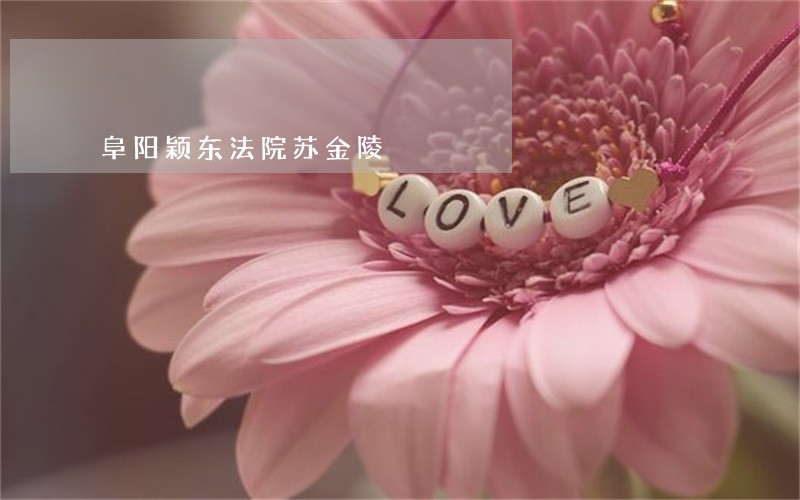 阜阳颖东法院苏金陵