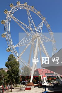 阜阳驾驶员逾期名单