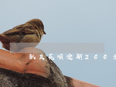 队友花呗逾期200元有啥后果