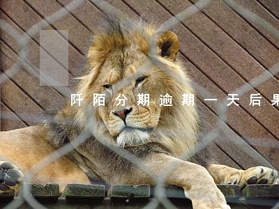 阡陌分期逾期一天后果 阡陌分期逾期一天后果