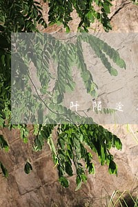 阡陌逾期费 阡陌逾期费