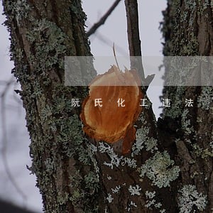 阮氏化工违法 阮氏化工违法
