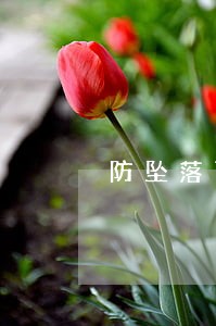 防坠落雨棚的法规 防坠落雨棚的法规