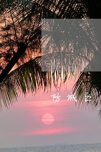 防城区外商投资律师咨询电话 防城区外商投资律师咨询电话