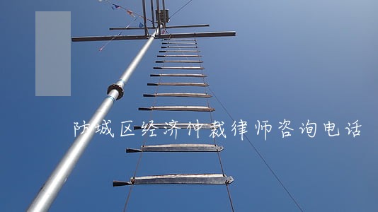 防城区经济仲裁律师咨询电话 防城区经济仲裁律师咨询电话