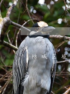 防城区股权纠纷律师咨询电话 防城区股权纠纷律师咨询电话