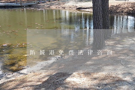 防城港免费法律咨询 防城港免费法律咨询