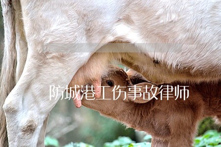 防城港工伤事故律师 防城港工伤事故律师