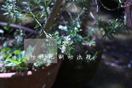 防抱死制动法规