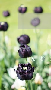 防控疫情的法律条文