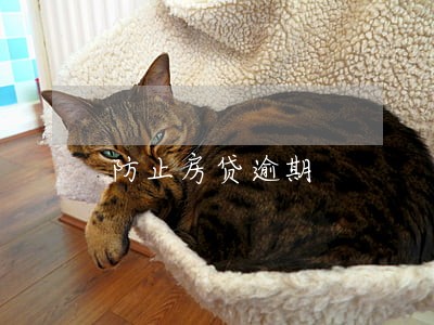 防止房贷逾期
