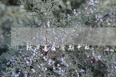 防洪基金逾期申报