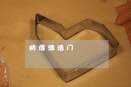 防爆波活门 防爆波活门
