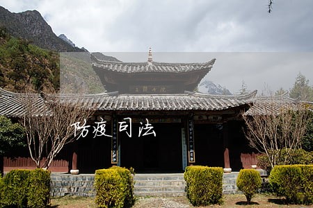 防疫司法