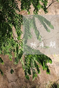 防疫期间网贷逾期的人 防疫期间网贷逾期的人