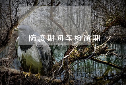 防疫期间车检逾期 防疫期间车检逾期