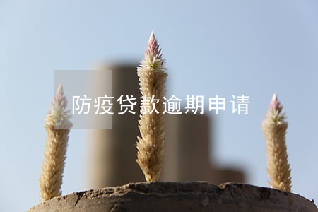 防疫贷款逾期申请 防疫贷款逾期申请