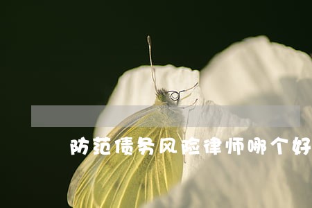 防范债务风险律师哪个好 防范债务风险律师哪个好
