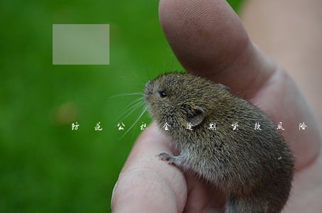 防范公积金逾期贷款风险 防范公积金逾期贷款风险