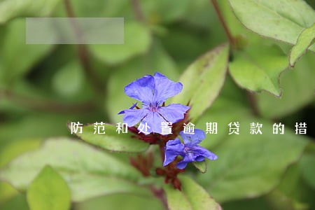 防范和处置逾期贷款的措施 防范和处置逾期贷款的措施
