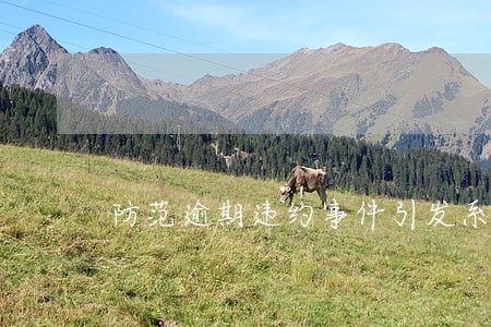防范逾期违约事件引发系统性风险 防范逾期违约事件引发系统性风险