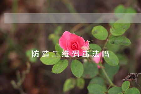 防造二维码违法吗 防造二维码违法吗