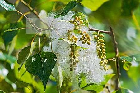 阳信县咨询律师怎么收费 阳信县咨询律师怎么收费