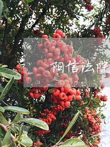 阳信法院王红芳 阳信法院王红芳