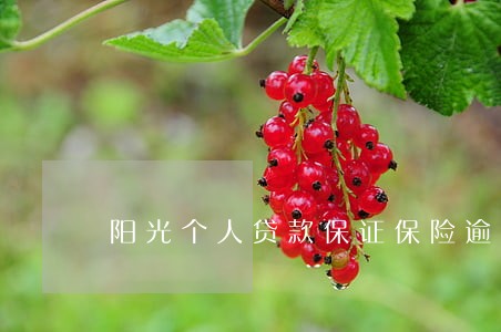 阳光个人贷款保证保险逾期案例 阳光个人贷款保证保险逾期案例