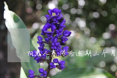 阳光人寿保险逾期三个月 阳光人寿保险逾期三个月