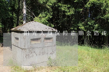 阳光人身保险逾期会造成什么后果 阳光人身保险逾期会造成什么后果