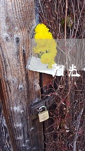 阳光保单贷逾期一天会上征信吗 阳光保单贷逾期一天会上征信吗