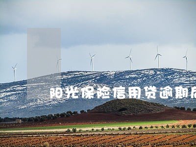 阳光保险信用贷逾期后果