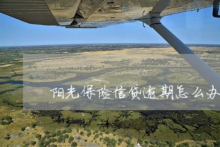 阳光保险信贷逾期怎么办 阳光保险信贷逾期怎么办