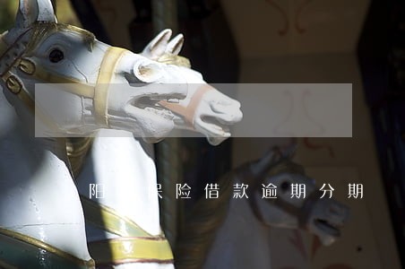 阳光保险借款逾期分期 阳光保险借款逾期分期