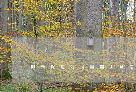 阳光保险公司逾期上征信 阳光保险公司逾期上征信