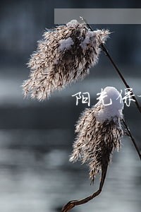 阳光保险小额贷款逾期 阳光保险小额贷款逾期
