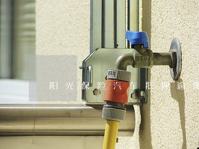 阳光保险汽车抵押逾期 阳光保险汽车抵押逾期
