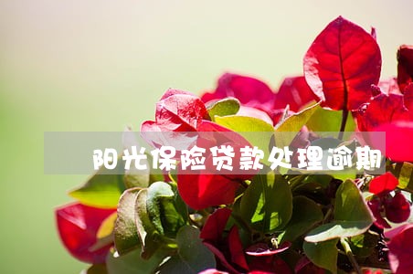阳光保险贷款处理逾期 阳光保险贷款处理逾期