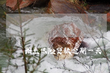 阳光保险贷款逾期一天 阳光保险贷款逾期一天