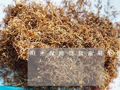 阳光保险贷款逾期不停打电话 阳光保险贷款逾期不停打电话