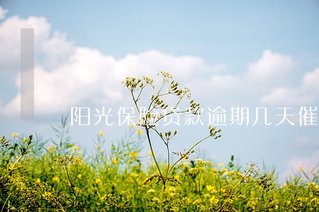 阳光保险贷款逾期几天催收 阳光保险贷款逾期几天催收