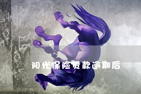阳光保险贷款逾期后 阳光保险贷款逾期后