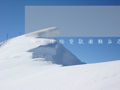阳光保险贷款逾期后还款 阳光保险贷款逾期后还款